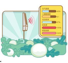 吃瓜网回家不迷路,不迷路攻略大揭秘